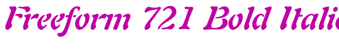 Freeform 721 Bold Italic BT(2)